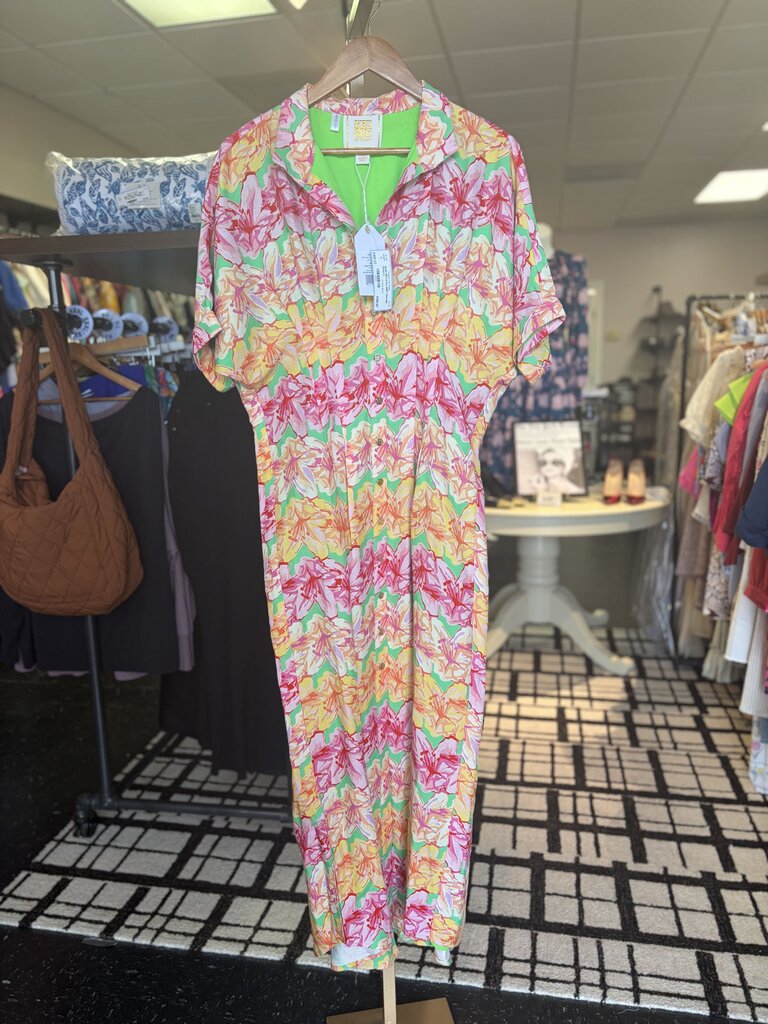 Emily McCarthy NWT Georgia Dress
