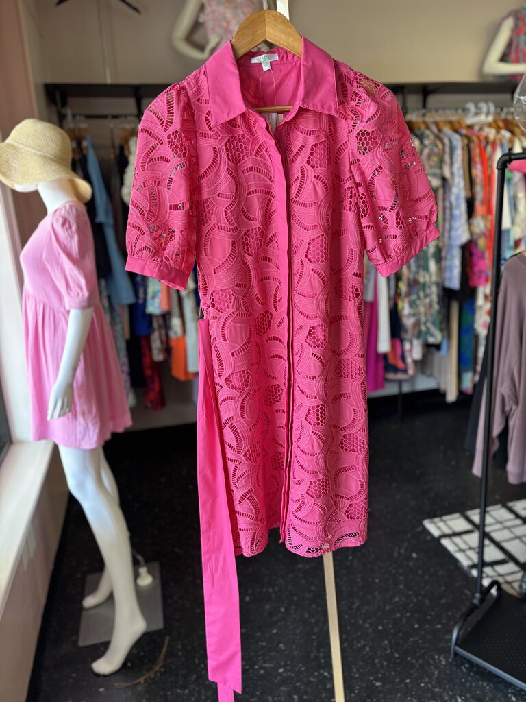 Jade-NWT-Placket Lace Shift Dress - Pink