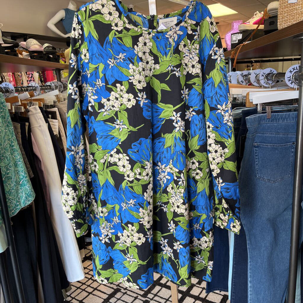 Elizabeth James- LS Floral Dress