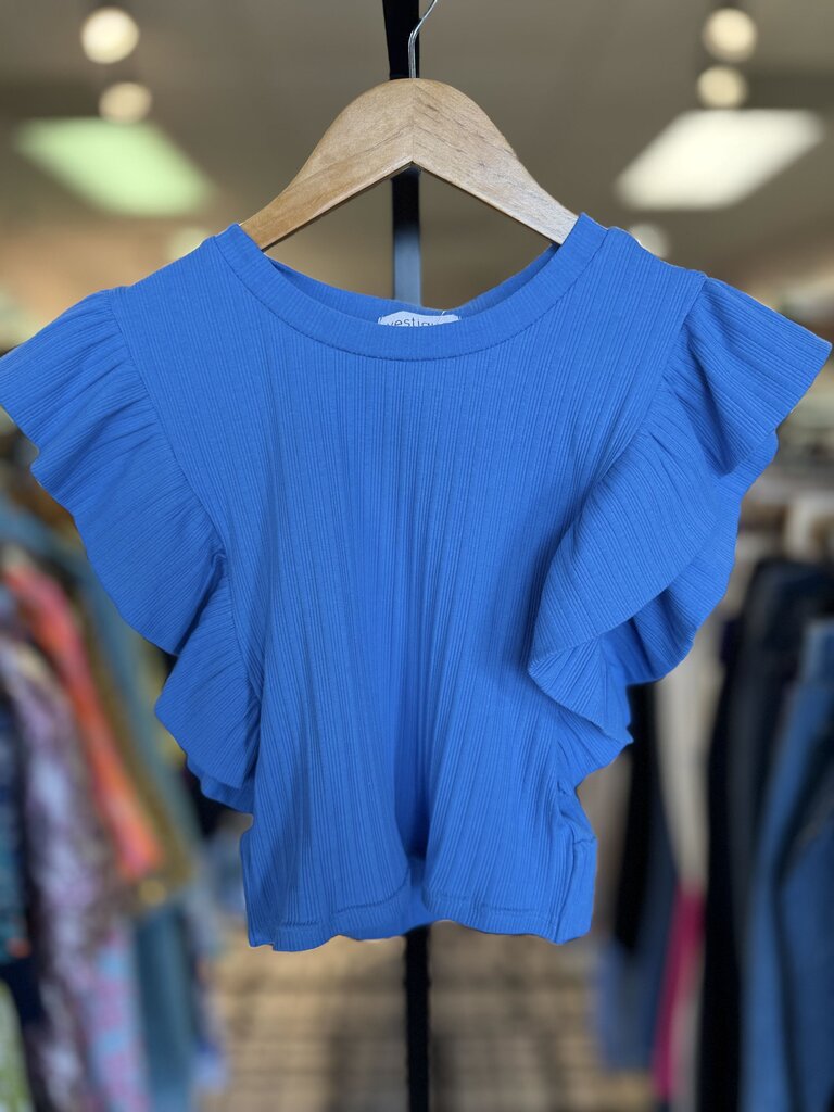 Vestique NWT - Got Your Back Top in Blue