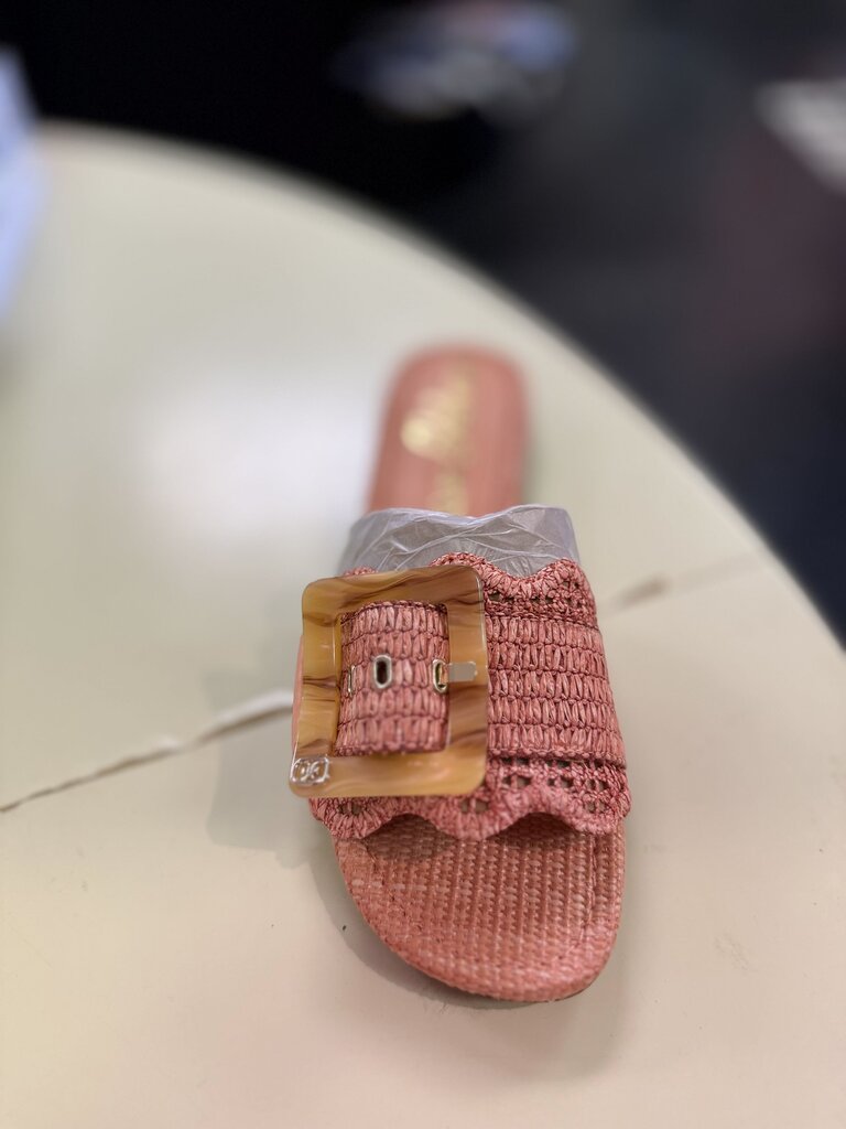 Sam Edelman NWT- Bambi Raffia Buckle Slide Sandal