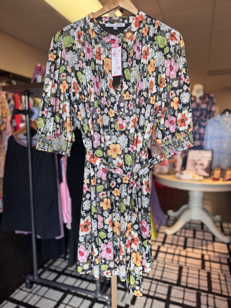 JoyJoy-NWT-Artist Meadows Pintuck LS Dress