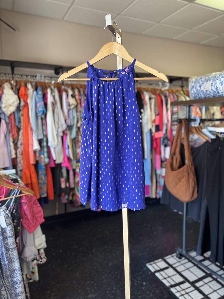 Lilly-Skylar Halter Silk Top in Indigo