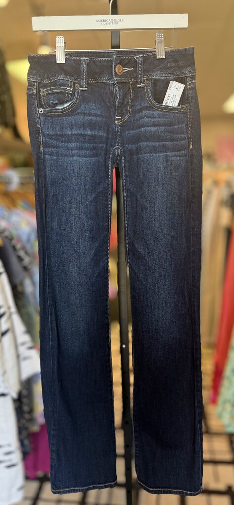 AE - "Artist" Low- Rise Flare Jeans