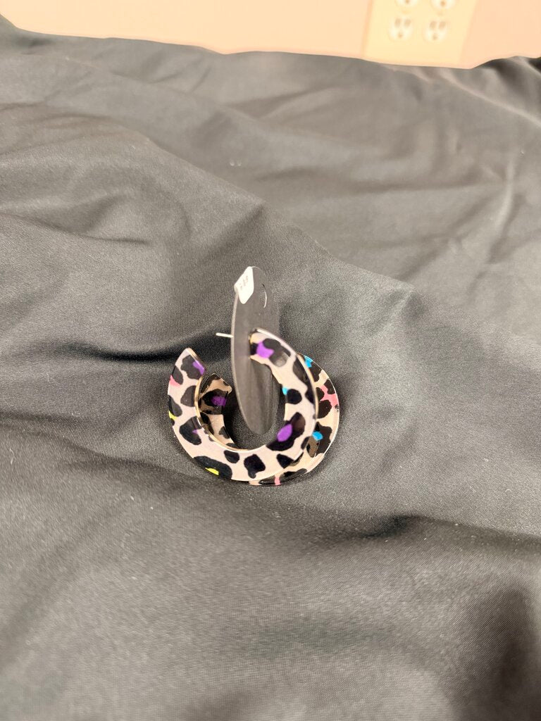 Colorful Acrylic Earrings