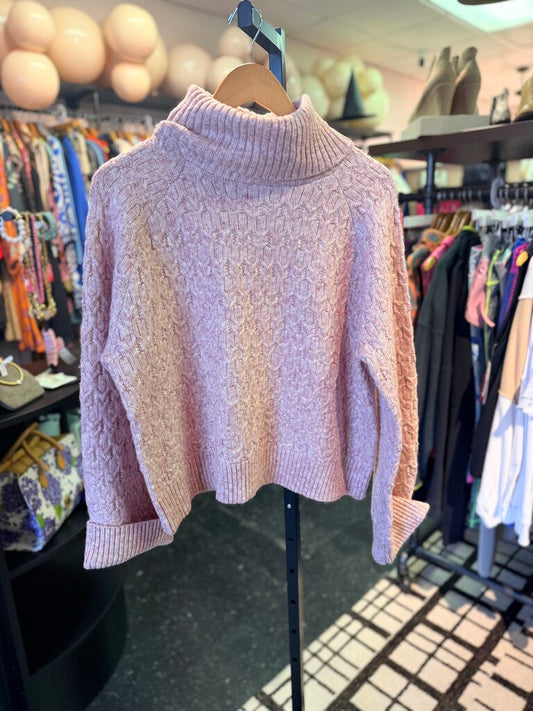 Industry NWT- Wool Blend Knit Turtleneck Sweater - Blush